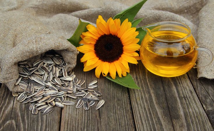 Buy Sunflower Oil in Bulk in Egypt (2025 Guide) + Wholesale Price + Import Procedure & Tariffs